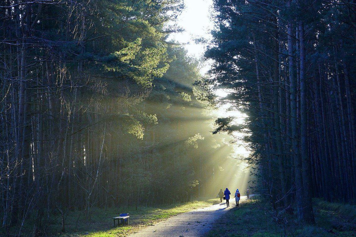 Buddha-Blog-Podcast Folge 194 Buddha-Blog-Podcast Folge 194