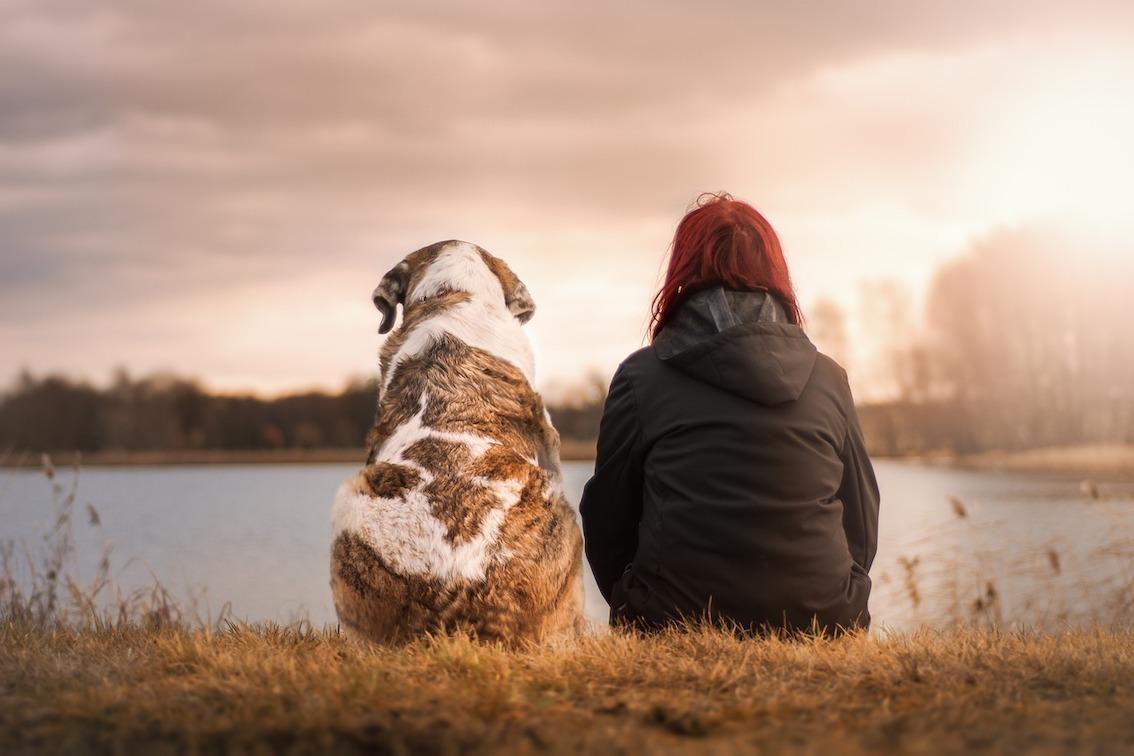 Freundschaft und der Buddhismus