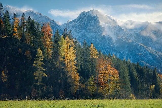 Bewußtsein in Stufen Teil 3 - 