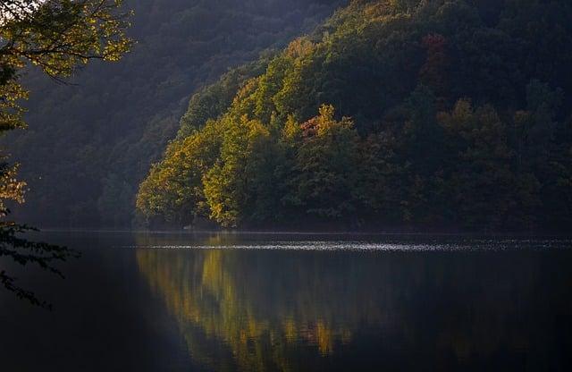 Selbst ist man auch in der Liebe gut beraten - Buddha-Blog-Podcast Folge 202 Selbst ist man auch in der Liebe gut beraten - Buddha-Blog-Podcast Folge 202