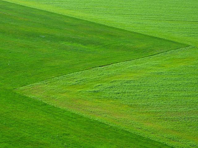 Wünsche erfüllen mit der Kraft des Geistes