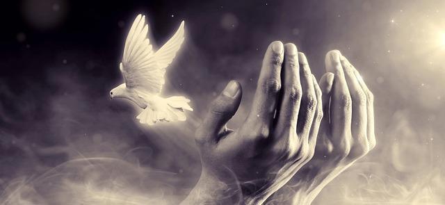 Mitgefühl und die Natur der Dinge Mitgefühl und die Natur der Dinge