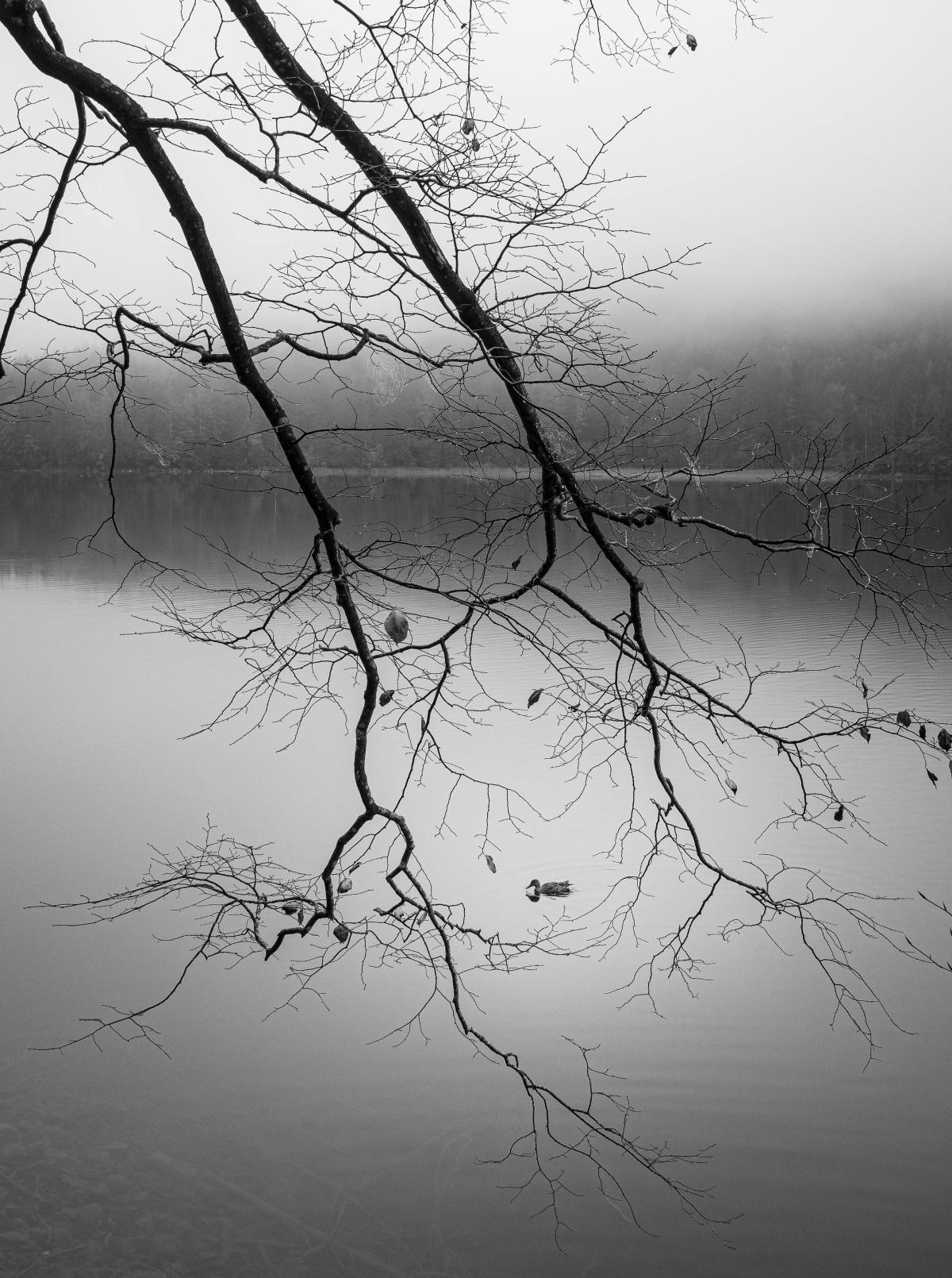 Alles ist ungewiss - Buddha-Blog-Podcast Folge 215 Alles ist ungewiss - Buddha-Blog-Podcast Folge 215
