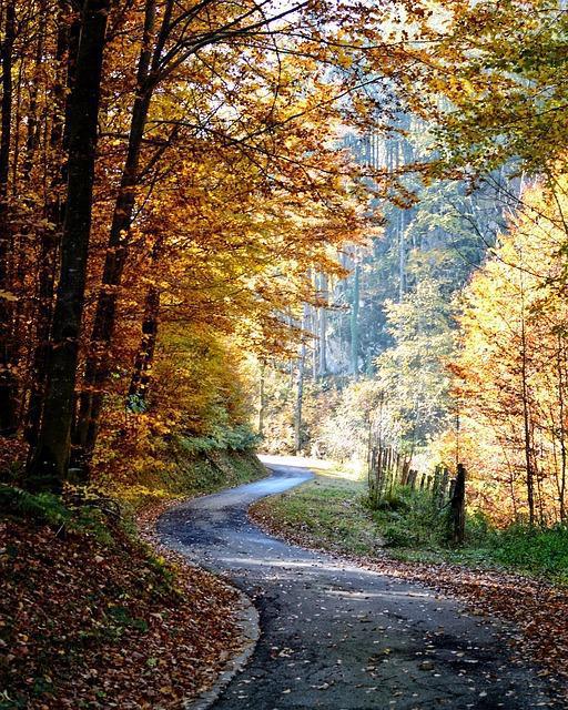 Der achtfache Pfad Der achtfache Pfad