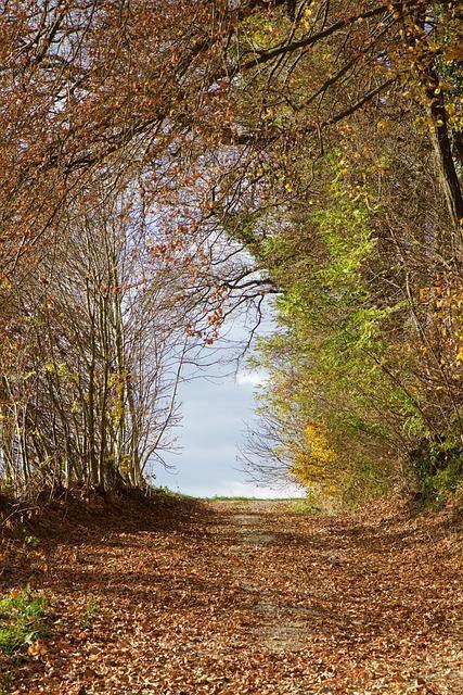 Der achtfache Pfad Der achtfache Pfad