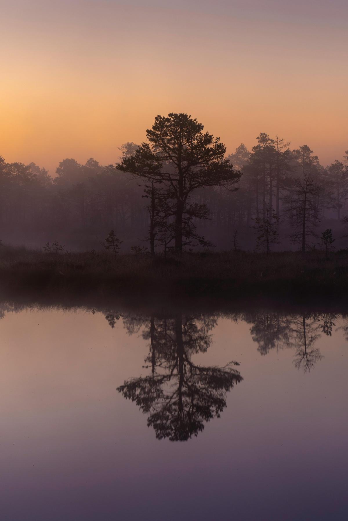 218-Ohne Begrenzungen - Buddha Blog - Buddhismus im Alltag 218-Ohne Begrenzungen - Buddha Blog - Buddhismus im Alltag