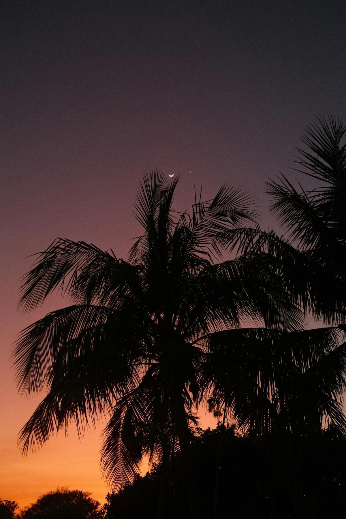 218-Ohne Begrenzungen - Buddha Blog - Buddhismus im Alltag 218-Ohne Begrenzungen - Buddha Blog - Buddhismus im Alltag