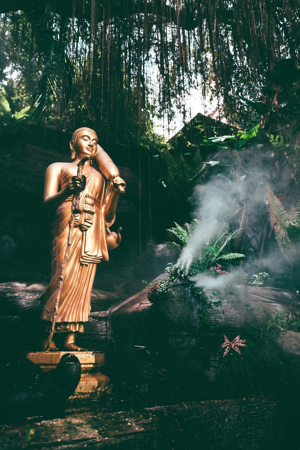 Was bringt mir persönlich der Buddhismus?