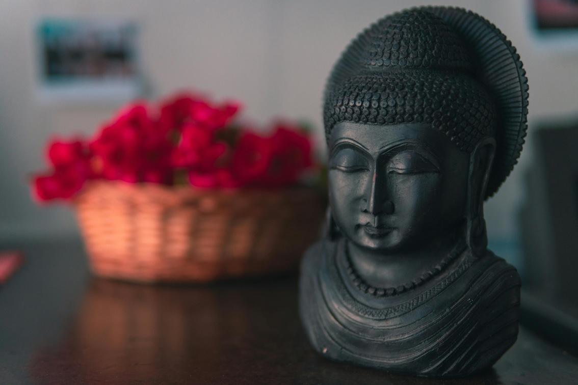 Das Leben des historischen Buddha