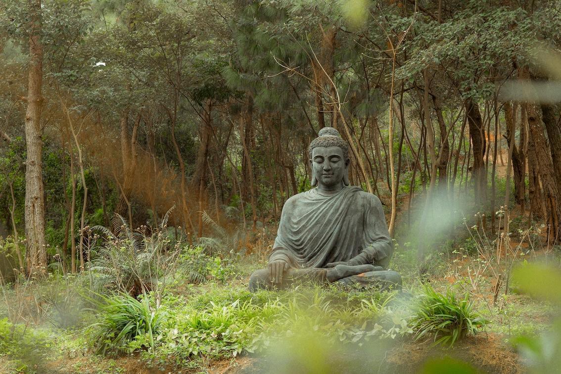 Das Leben des historischen Buddha