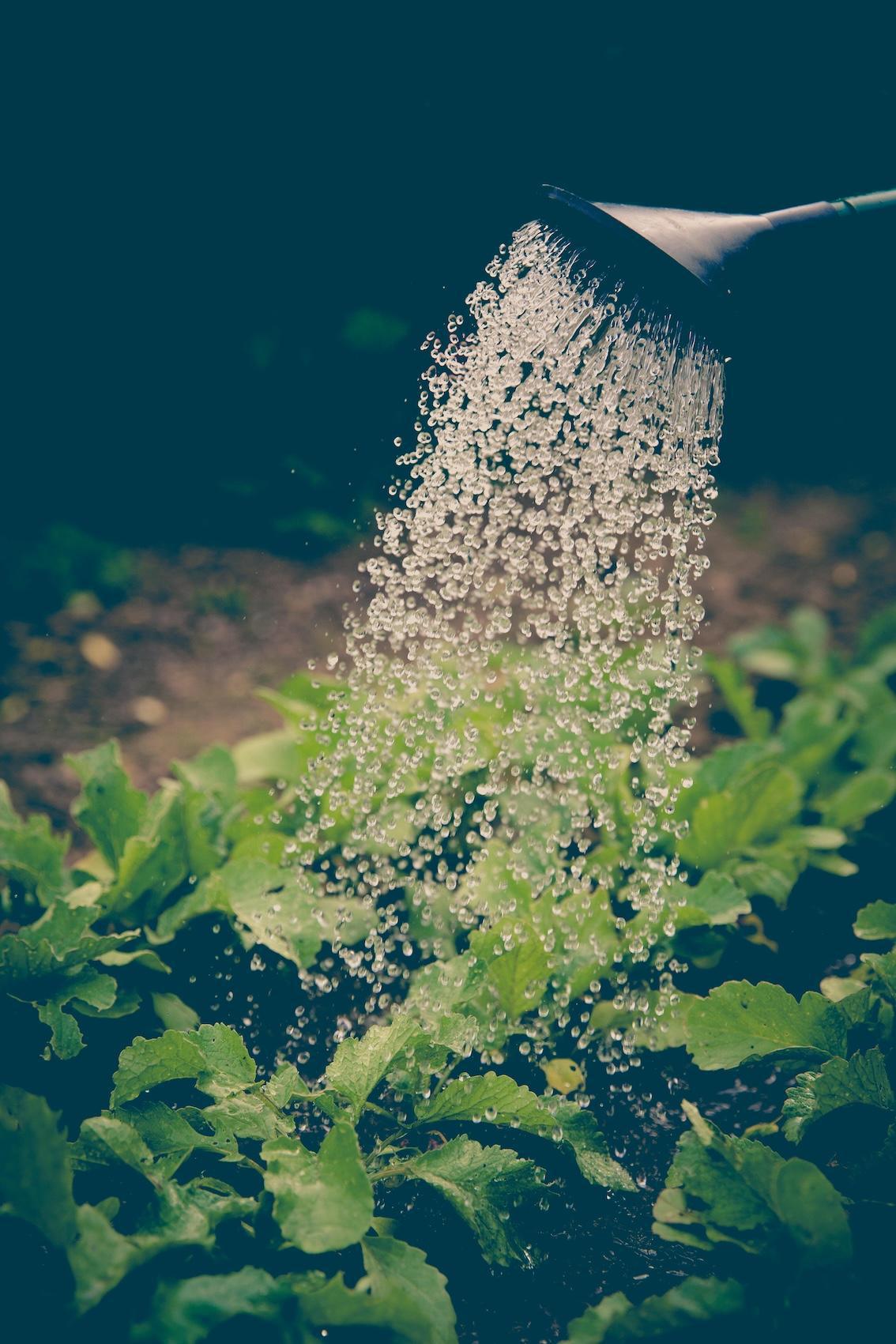 Gartenarbeit