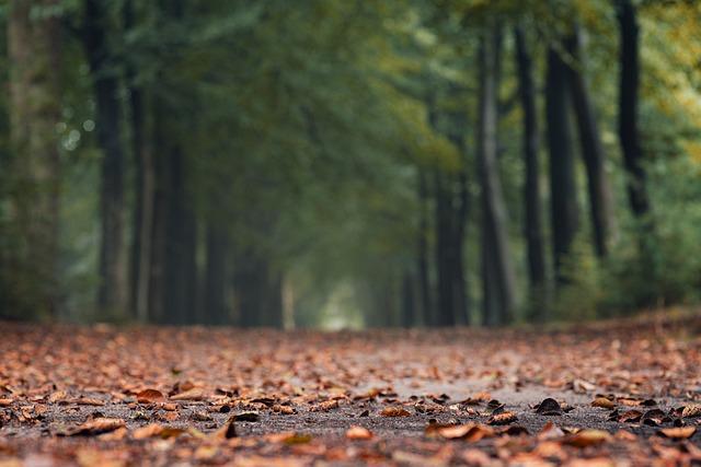 233-Verschmelze mit dem Urgrund 2 - Buddha Blog Podcast-Buddhismus im Alltag