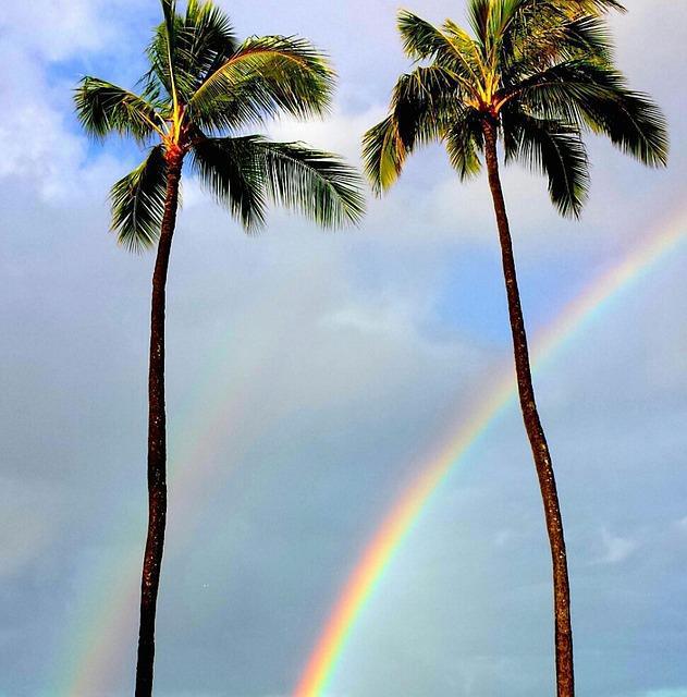 234-Der Regenbogen - Buddha Blog Podcast-Buddhismus im Alltag