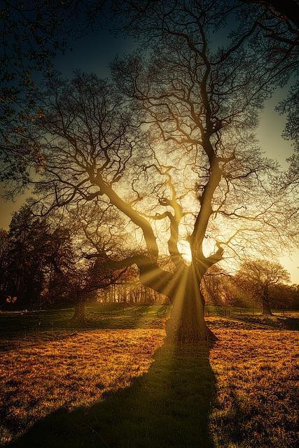238-Die Zuversicht - Buddha Blog Podcast-Buddhismus im Alltag