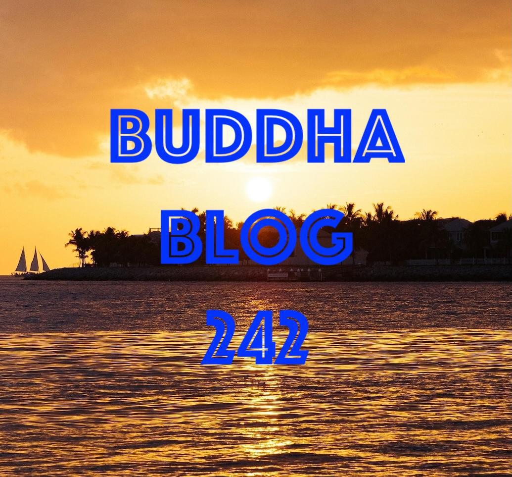 242-Dienst nach Vorschrift - Buddha Blog Podcast-Buddhismus im Alltag