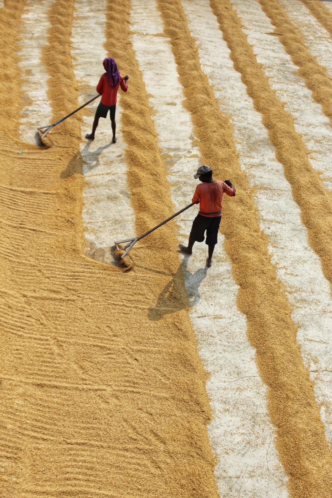Rechter Lebenserwerb im Buddhismus