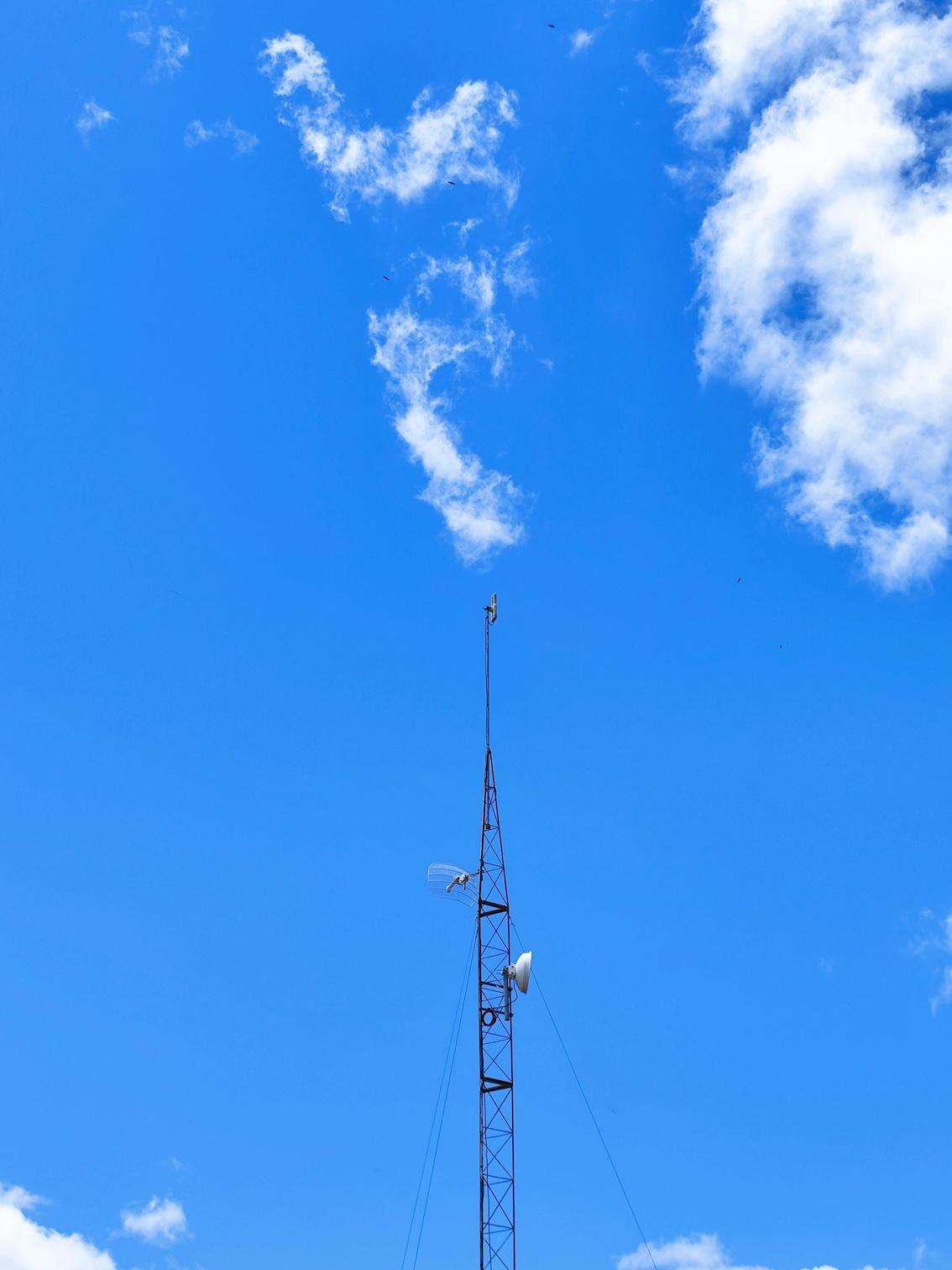 In Frequenzen, Denken und Sprechen 