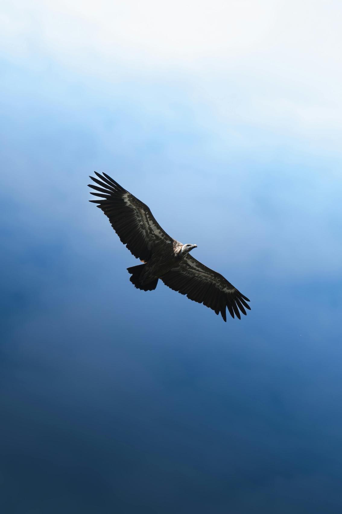 247-Anfang und Ende - Buddha Blog Podcast-Buddhismus im Alltag