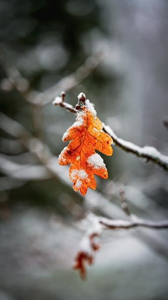 Jenseits von Diesem und Jenem – Über die Dualität