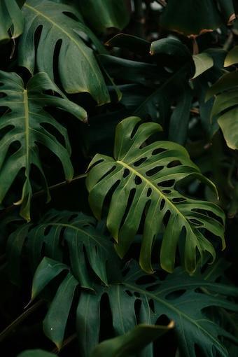 Wenn die Trennung schwindet