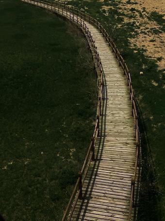 251-Geduld- Buddha Blog Podcast-Buddhismus im Alltag