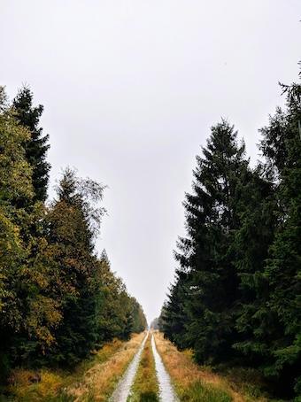 Empathie und Apathie