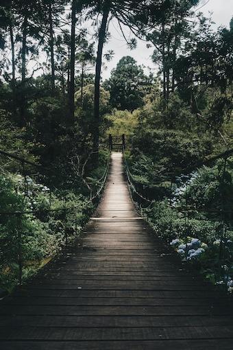 Empathie und Apathie