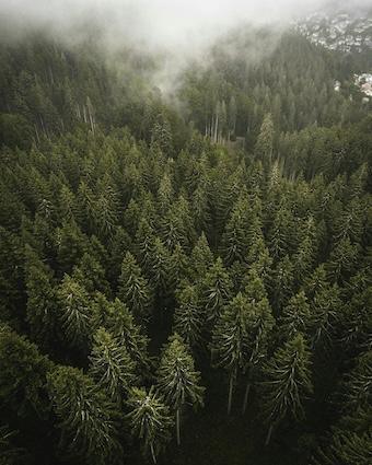 Zuversichtliche, erfolgsorientierte Bestimmtheit