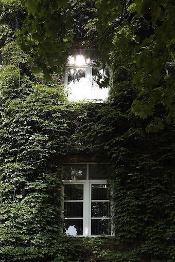 Zuversichtliche, erfolgsorientierte Bestimmtheit