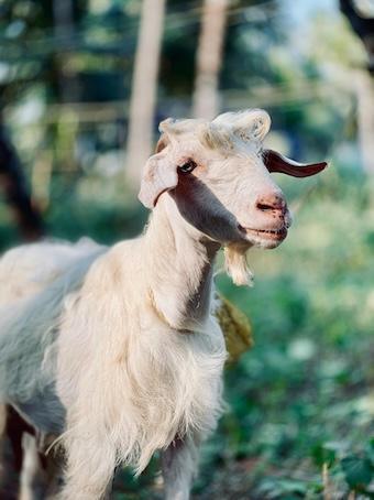 Zuversichtliche, erfolgsorientierte Bestimmtheit