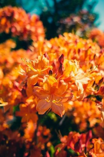 Was zählt im Leben: Buddhistische Weisheit für Deinen Weg