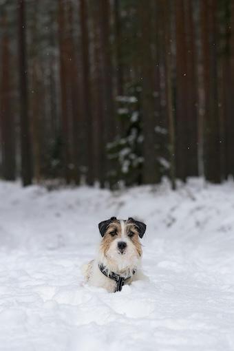 Inspiration – Eine Reise ins Innere