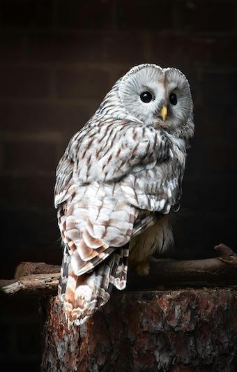 Inspiration – Eine Reise ins Innere