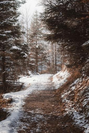 Schwierige Situationen – Wie der Buddhismus Dir hilft, Deinen Weg zu finden