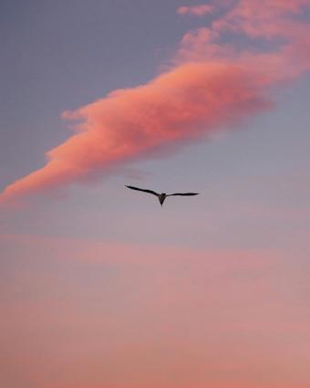 259-Selbstreflexion- Buddha Blog Podcast-Buddhismus im Alltag