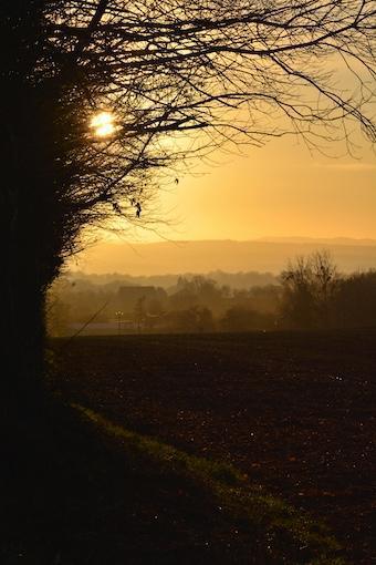 Persönlichkeitsentwicklung