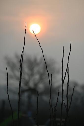 Persönlichkeitsentwicklung