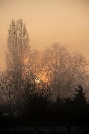 Persönlichkeitsentwicklung