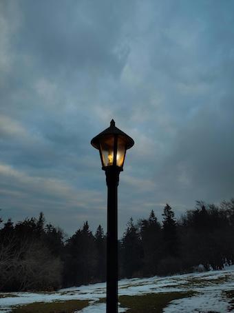 Persönlichkeitsentwicklung