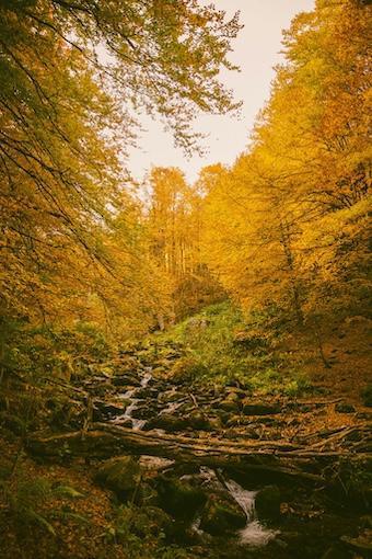 Was brauche ich wirklich?