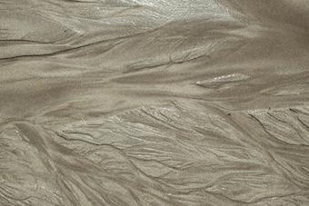 266-Visionen-Buddha Blog Podcast - Buddhismus im Alltag