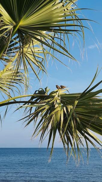 267-Dein Verhalten-Buddha Blog Podcast - Buddhismus im Alltag