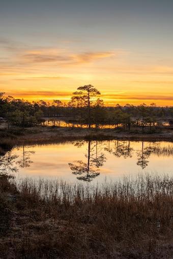 267-Dein Verhalten-Buddha Blog Podcast - Buddhismus im Alltag