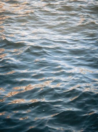 268-Dankbarkeit-Buddha Blog Podcast - Buddhismus im Alltag