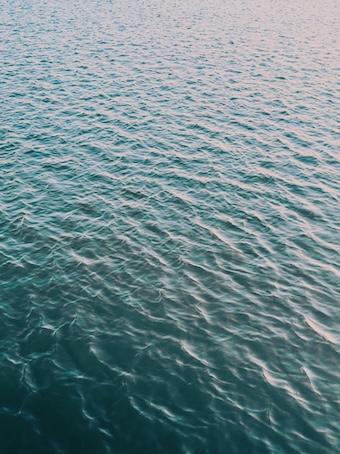 268-Dankbarkeit-Buddha Blog Podcast - Buddhismus im Alltag