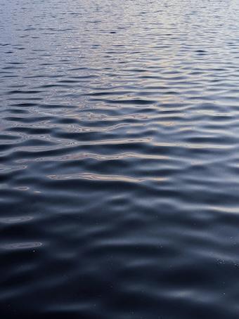 268-Dankbarkeit-Buddha Blog Podcast - Buddhismus im Alltag