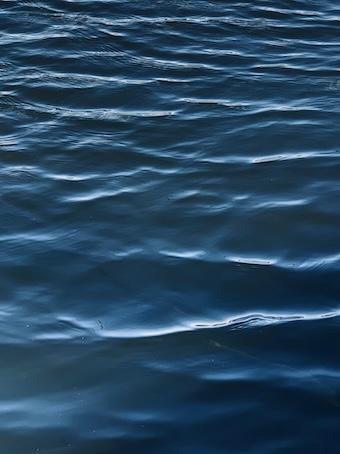 268-Dankbarkeit-Buddha Blog Podcast - Buddhismus im Alltag