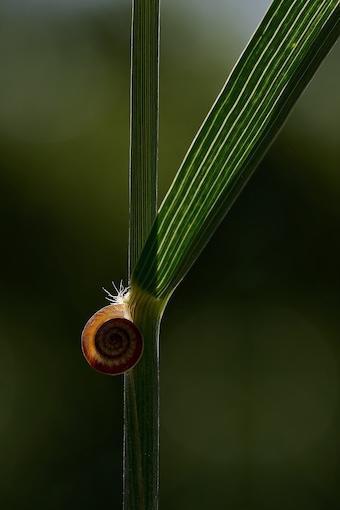 Das Feiern Deiner Erfolge