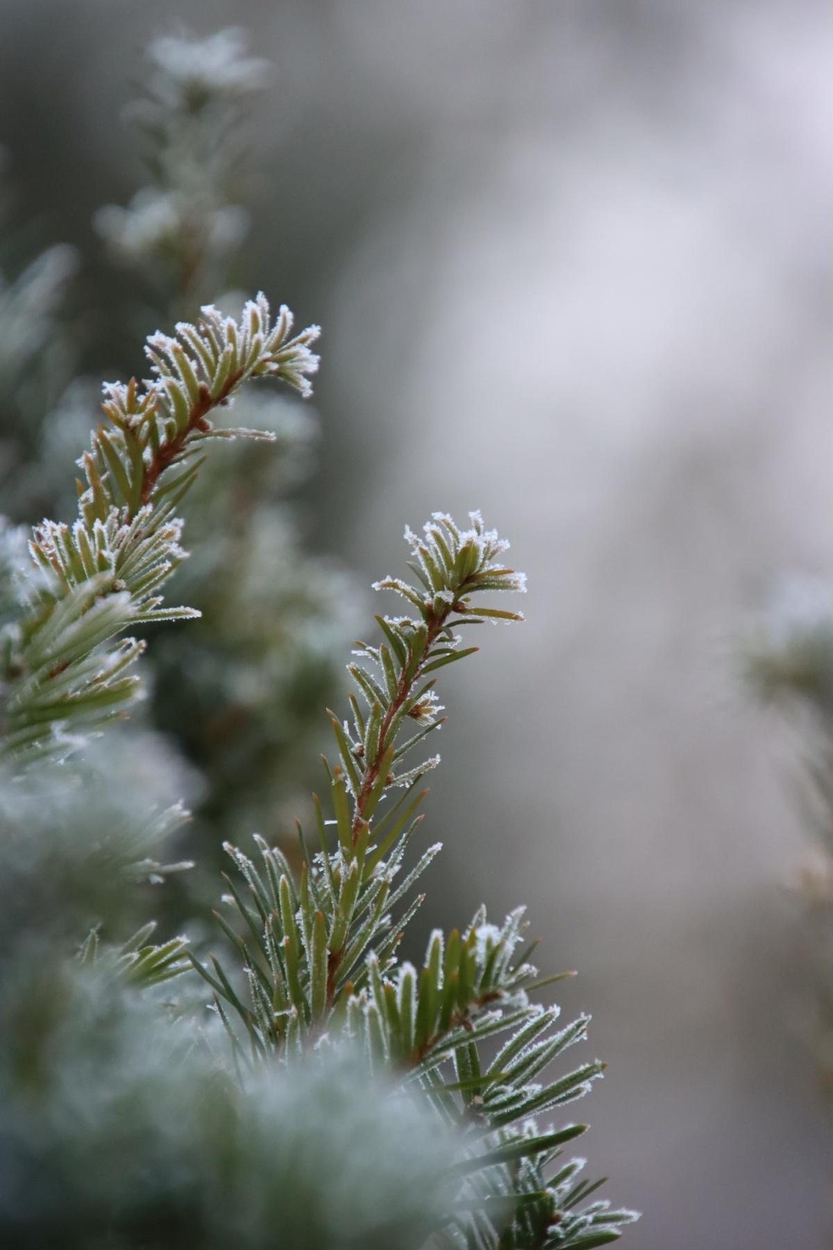 Das Feiern Deiner Erfolge