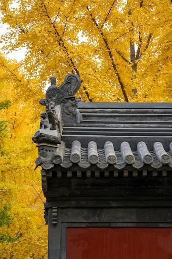 270-Gewaltlosigkeit-Buddha Blog Podcast - Buddhismus im Alltag